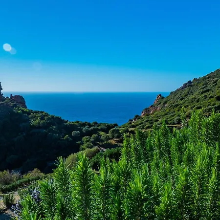 Il Dolce Risveglio Tanca Piras Nebida